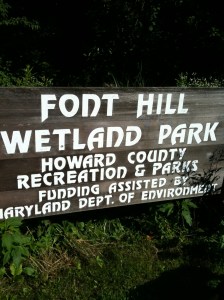 10 6.15.10 walk at the park