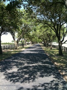 7 southfork driveway