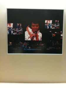 elvis at grizzlies 8.31.10