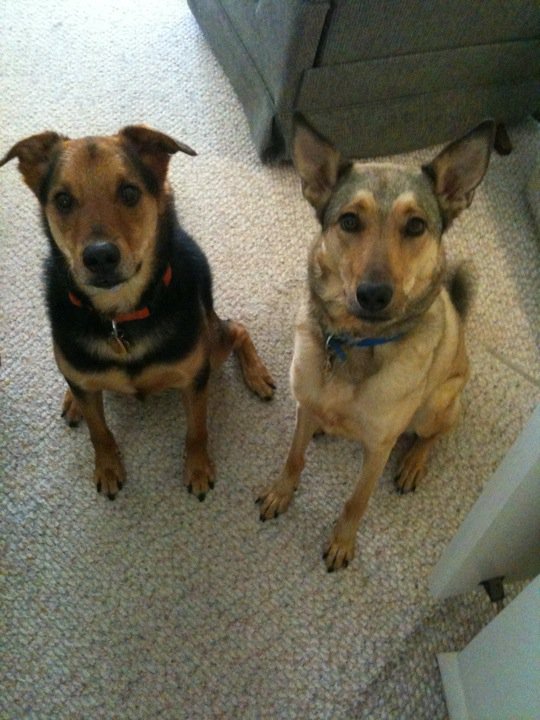 35709_413921359167_5086801_n