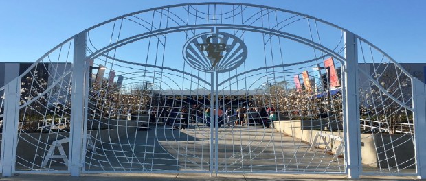 17038836_10155102945099168_5381195693272507432_o